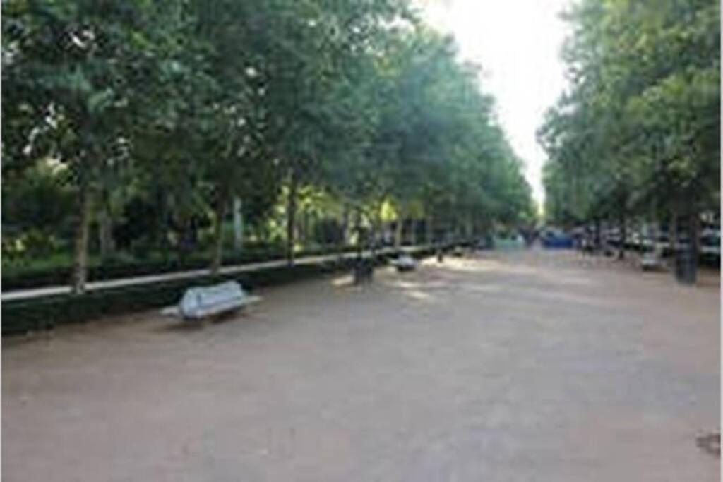Fabuloso Piso Junto A Paseo De La Bomba グラナダ エクステリア 写真